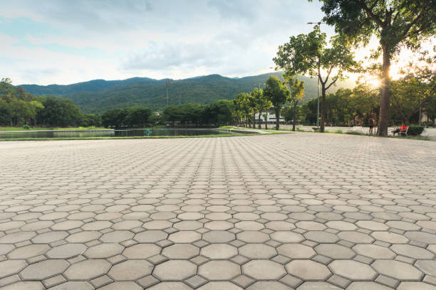 Best Driveway Paving Near Me  in Roseland, NJ